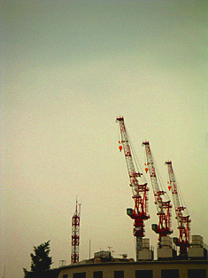 cranes.jpg