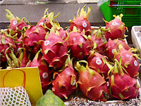 dragonfruit.jpg
