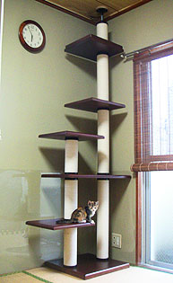 cattower.jpg