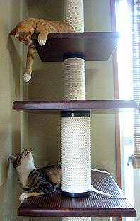 cats_on_tower02.jpg