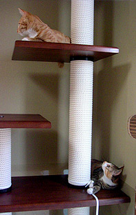 cats_on_tower03.jpg