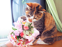 bouquet03.jpg