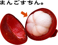mangosteen01.jpg