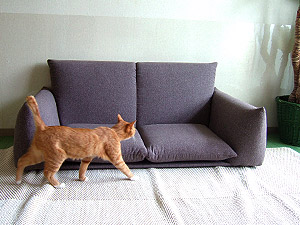 sofa02.jpg