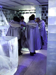 icebar07.jpg