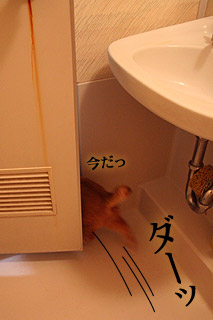 bathroom19.jpg