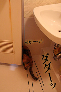 bathroom20.jpg